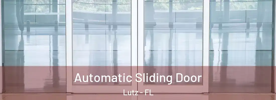 Automatic Sliding Door Lutz - FL