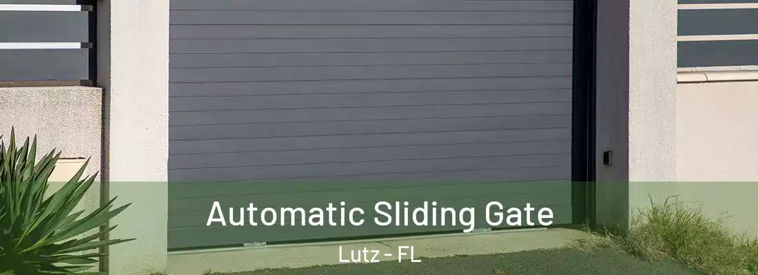  Automatic Sliding Gate Lutz - FL