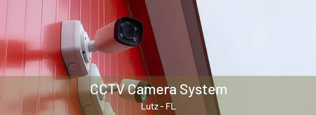 CCTV Camera System Lutz - FL