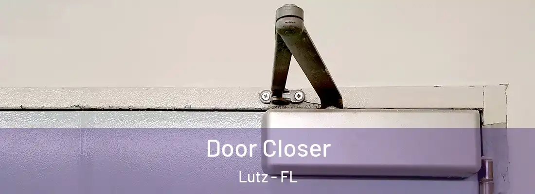 Door Closer Lutz - FL