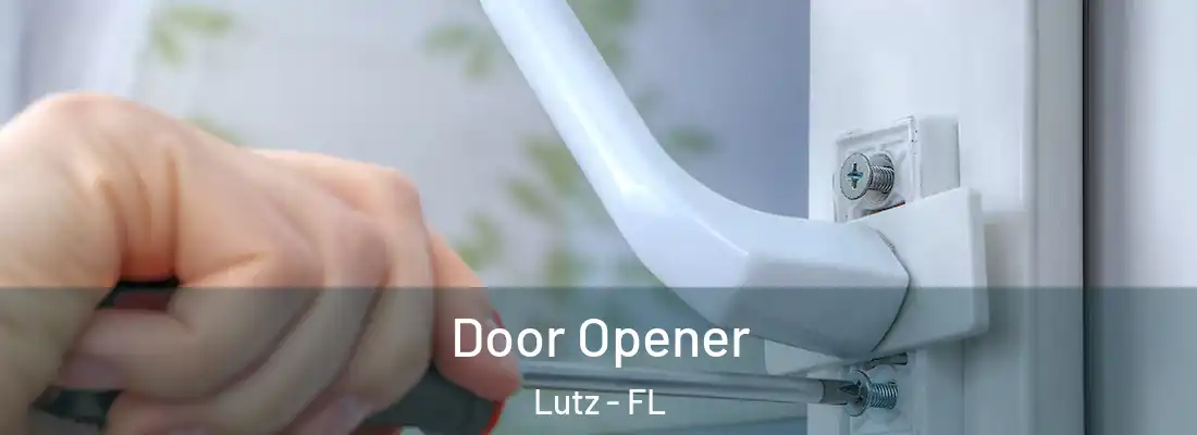 Door Opener Lutz - FL