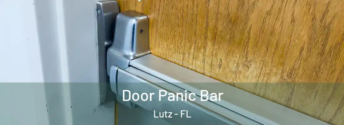 Door Panic Bar Lutz - FL