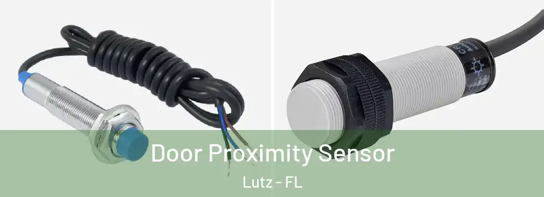  Door Proximity Sensor Lutz - FL