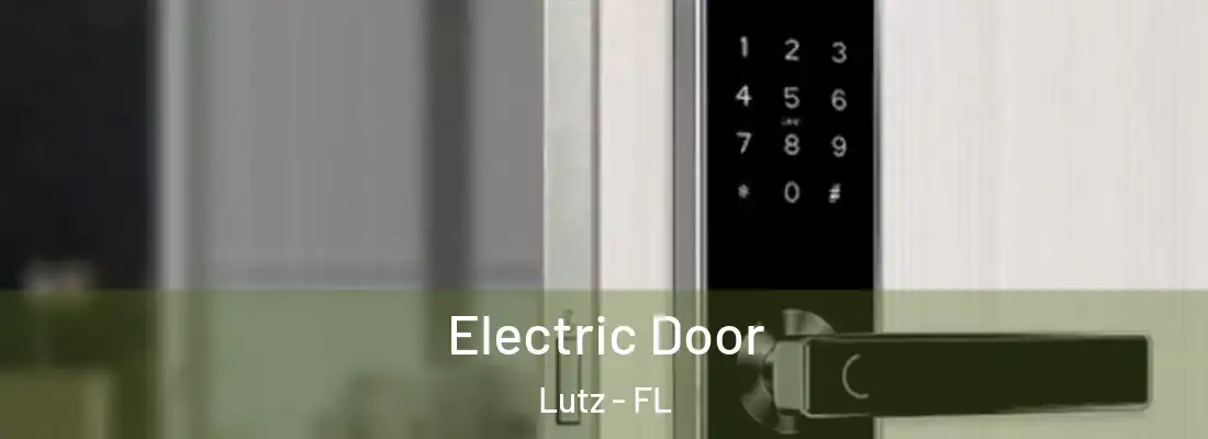 Electric Door Lutz - FL