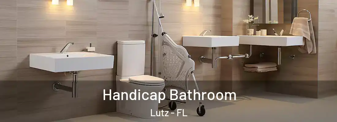 Handicap Bathroom Lutz - FL