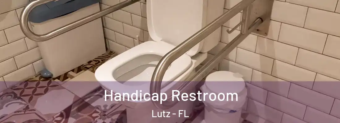 Handicap Restroom Lutz - FL