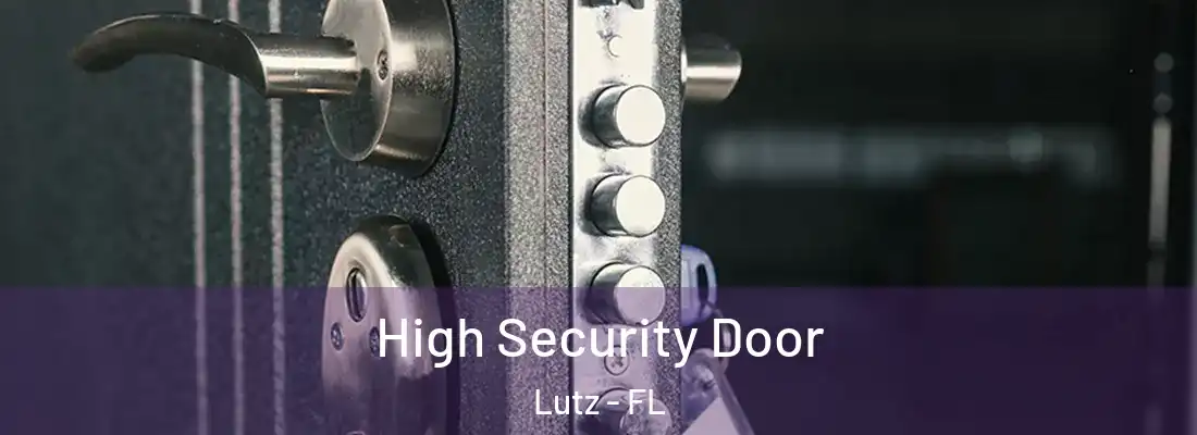High Security Door Lutz - FL