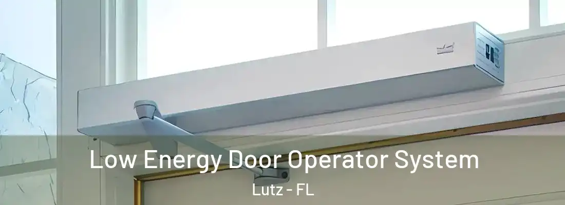 Low Energy Door Operator System Lutz - FL