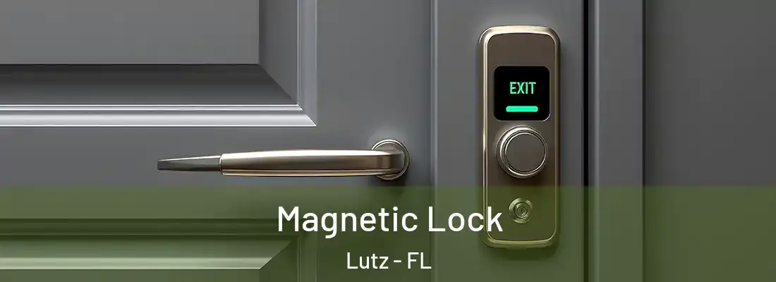 Magnetic Lock Lutz - FL