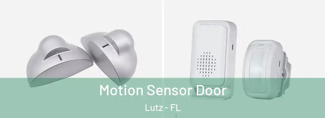 Motion Sensor Door Lutz - FL