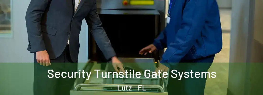 Security Turnstile Gate Systems Lutz - FL