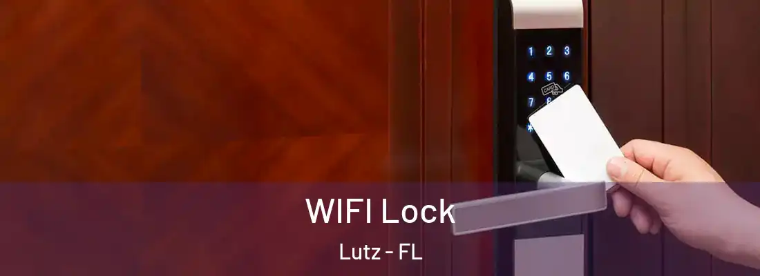 WIFI Lock Lutz - FL
